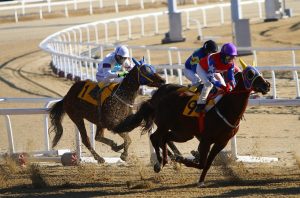Advanced Best Odds for Horse Racing: Pro Tips to Win in India (2026)